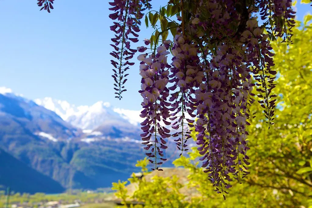 Altavilla Locanda E Tipica Trattoria Bianzone
