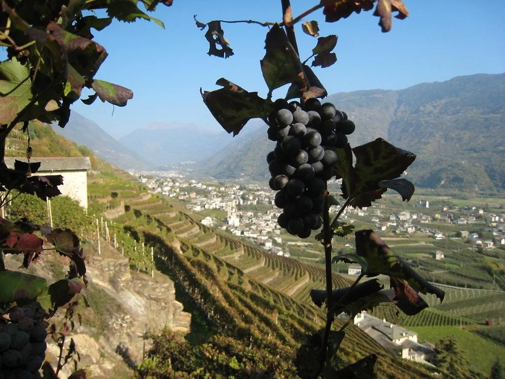 Altavilla Locanda E Tipica Trattoria Bianzone 0*,